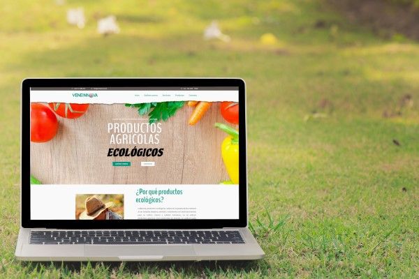 Diseño Web