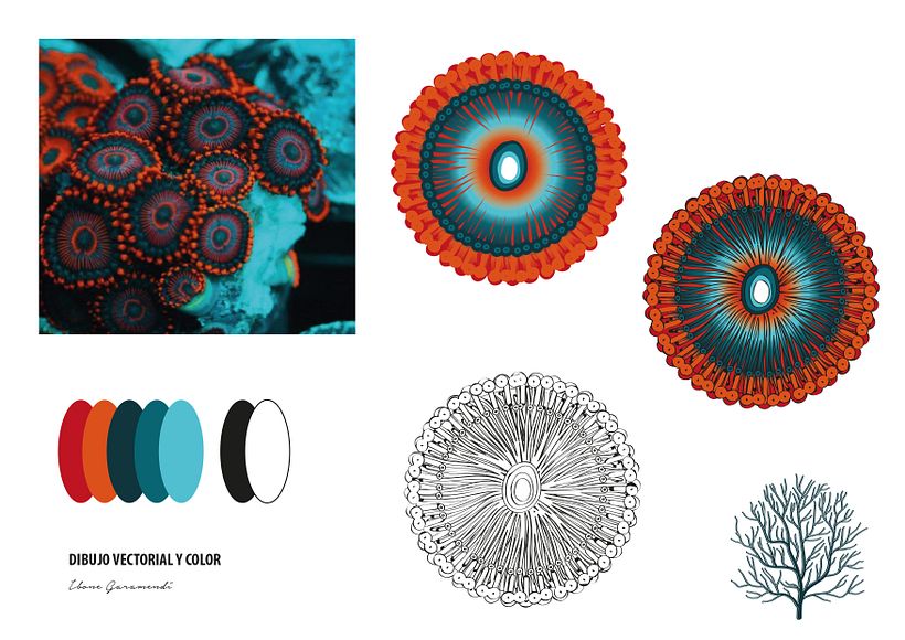 DIBUJO VECTORIAL EN ILUSTRATOR Y COLOR