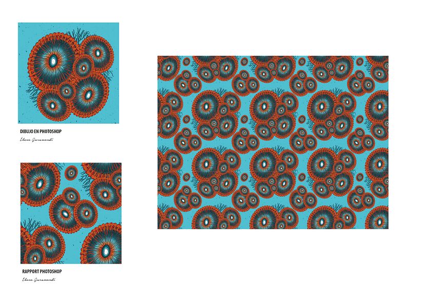 RAPPORT PHOTOSHOP Y COMPOSICIÓN FINAL