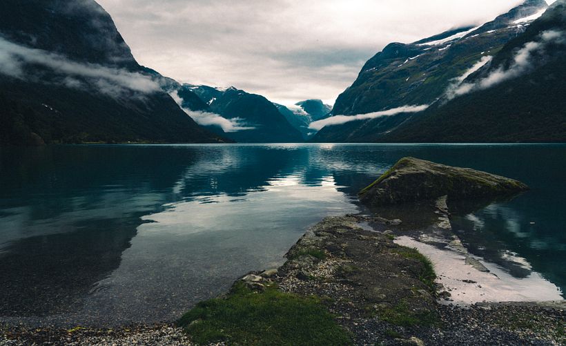 Mi proyecto del curso: Fundamentos y técnicas de fotografía moderna de naturaleza 13