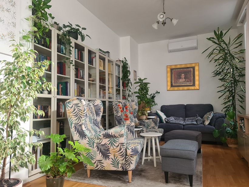 My project for course: Home Styling and Decoration with Plants 2
