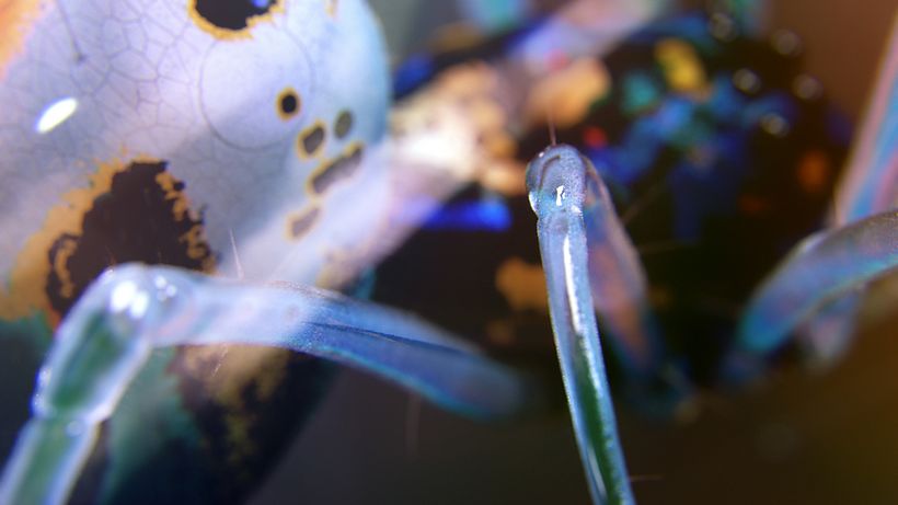 Another Hard thing was to archieve an organic look for extreme close Ups in 3D, like this.