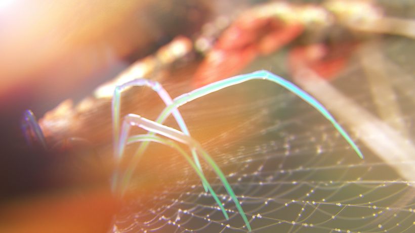 The Depth of Field was a Key thing on this animation, based on all Macro Photography used as reference