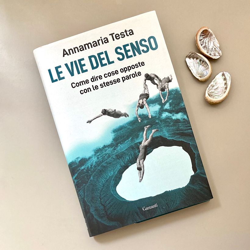 Le vie del senso, come dire cose opposte con le stesse parole. Uno studio empirico dell'interazione tra parole, immagini, grafica, e dell'influenza che ciascun elemento esercita sulla decodifica dei testi. 1