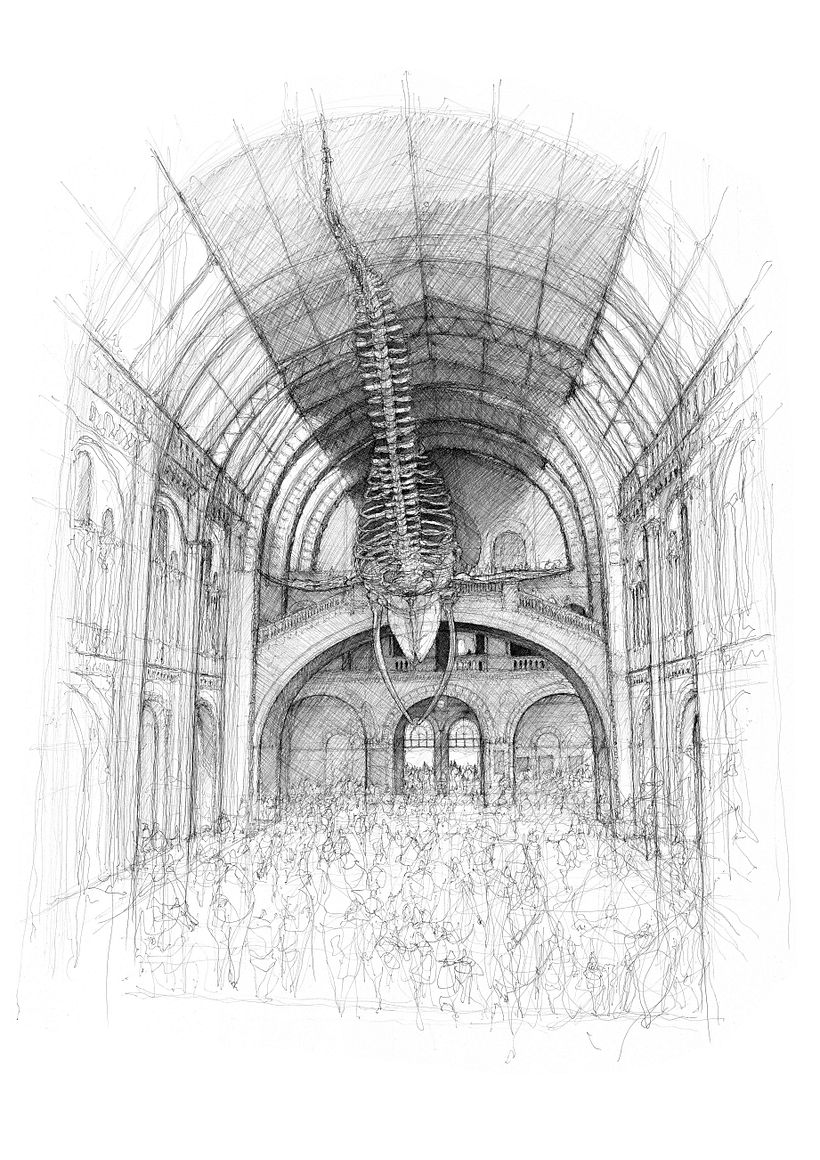 The Natural History Museum, London 1