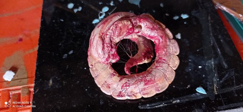 Mi proyecto del curso: Creación de un Art Toy 2