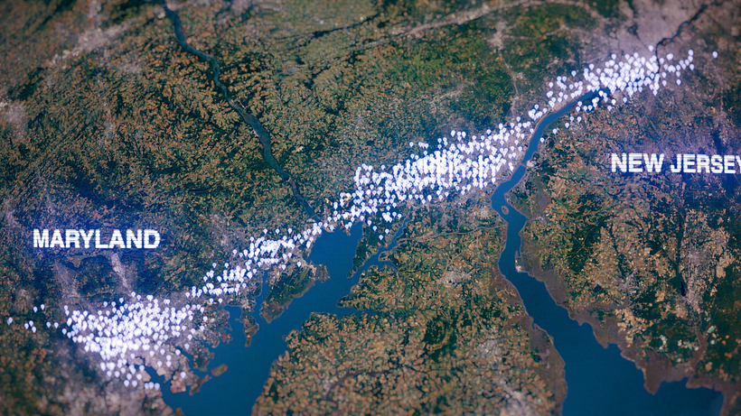 Caught in the Net 10