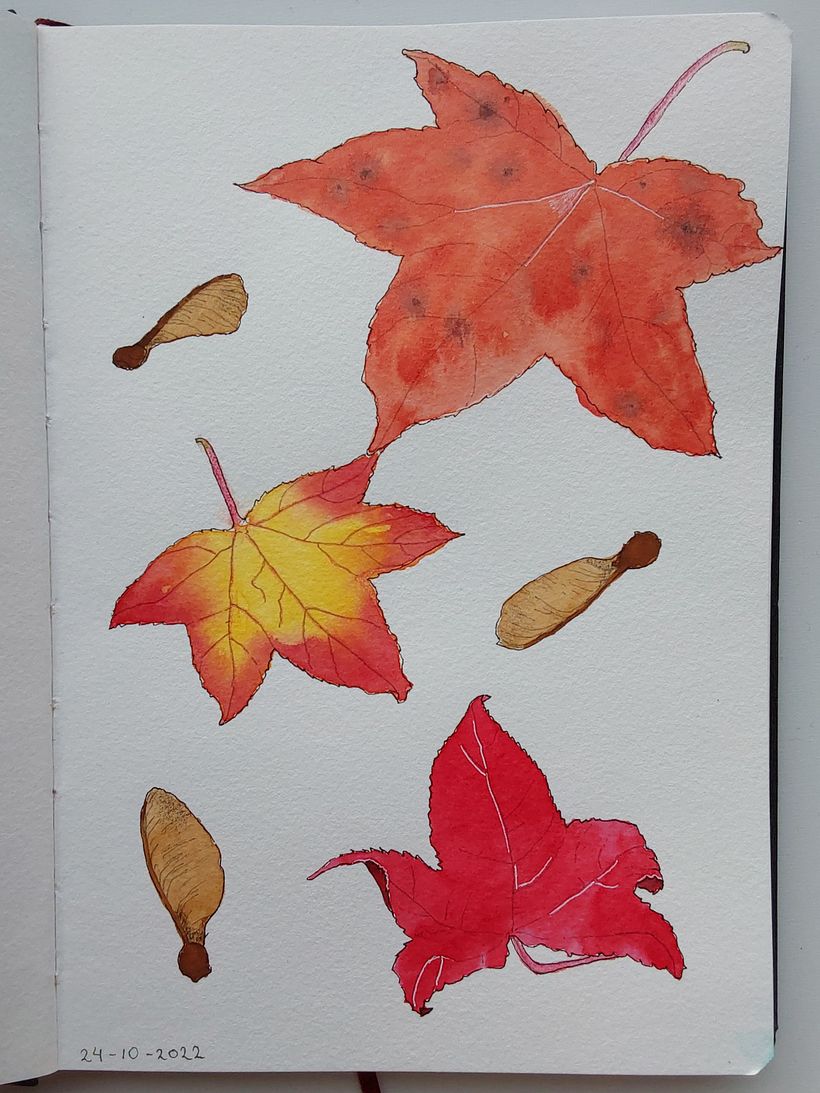 Fallen leaves using the techniques in this course
