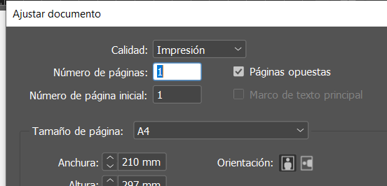 Marco de texto pricipal inactivo