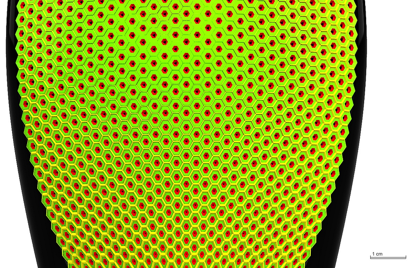 |AcoustiC_BoX| particolare