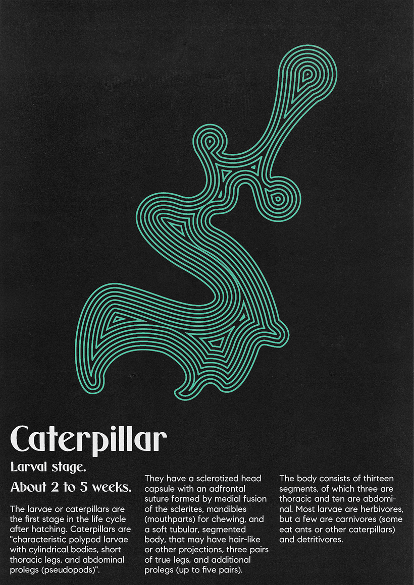 Mi proyecto del curso: Técnicas de composición para diseño gráfico - Serie de posters acerca de las etapas evolutivas de las mariposas.. 1