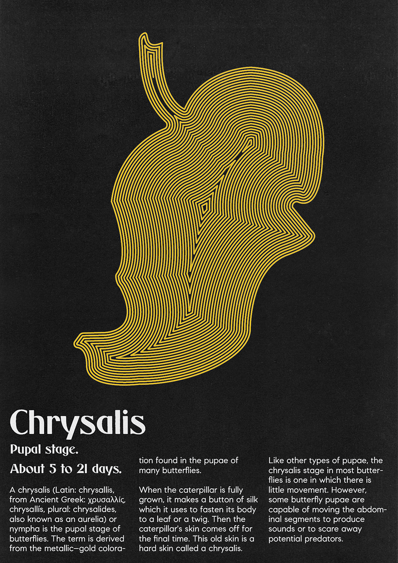 Mi proyecto del curso: Técnicas de composición para diseño gráfico - Serie de posters acerca de las etapas evolutivas de las mariposas.. 2