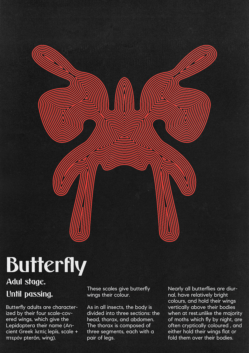 Mi proyecto del curso: Técnicas de composición para diseño gráfico - Serie de posters acerca de las etapas evolutivas de las mariposas.. 4