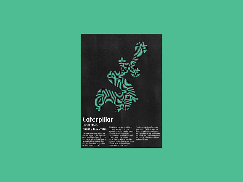 Mi proyecto del curso: Técnicas de composición para diseño gráfico - Serie de posters acerca de las etapas evolutivas de las mariposas.. 5