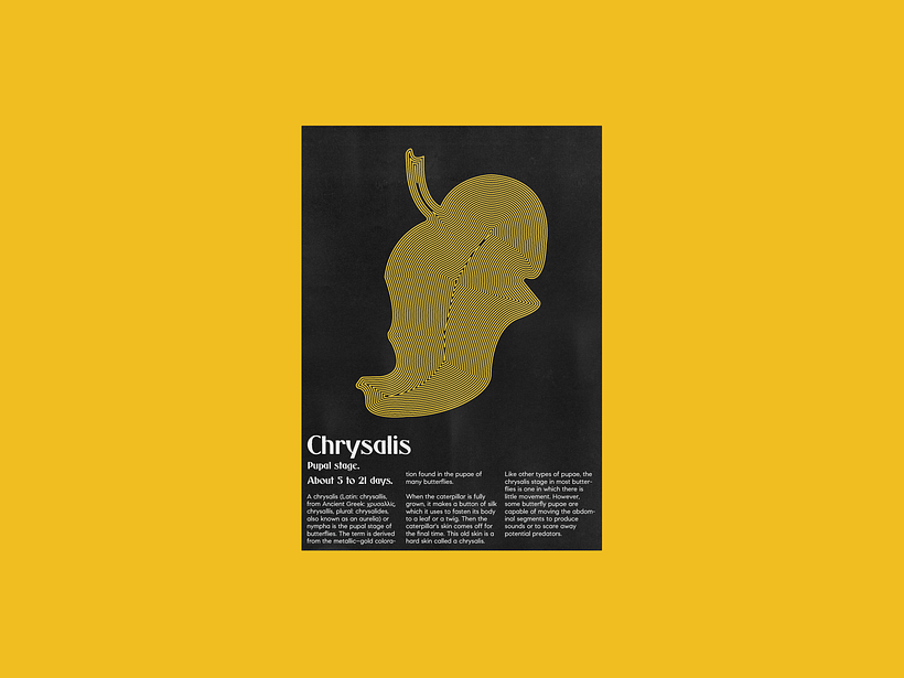 Mi proyecto del curso: Técnicas de composición para diseño gráfico - Serie de posters acerca de las etapas evolutivas de las mariposas.. 6