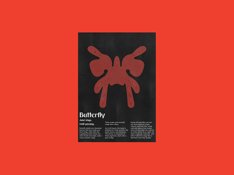 Mi proyecto del curso: Técnicas de composición para diseño gráfico - Serie de posters acerca de las etapas evolutivas de las mariposas.. 7