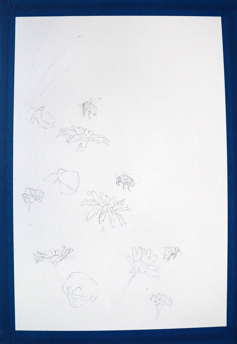 Final project- Meadow with bees- Pencil composition