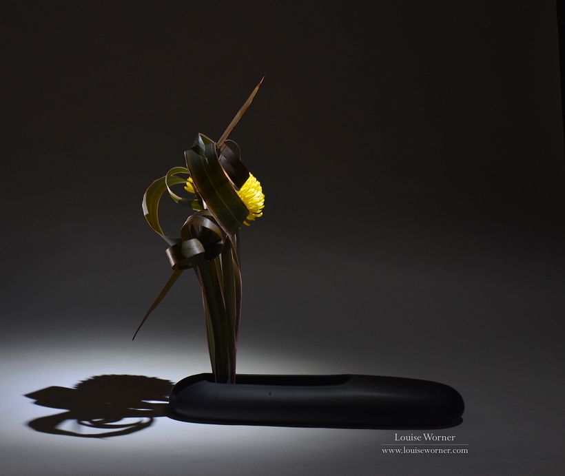 Creating forms with New Zealand Flax and a single flower