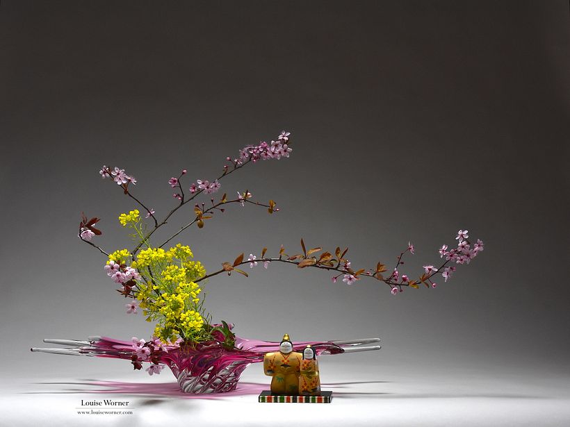 Foraged Prunus and blossoms for Hina-matsuri (Girl's Day)
