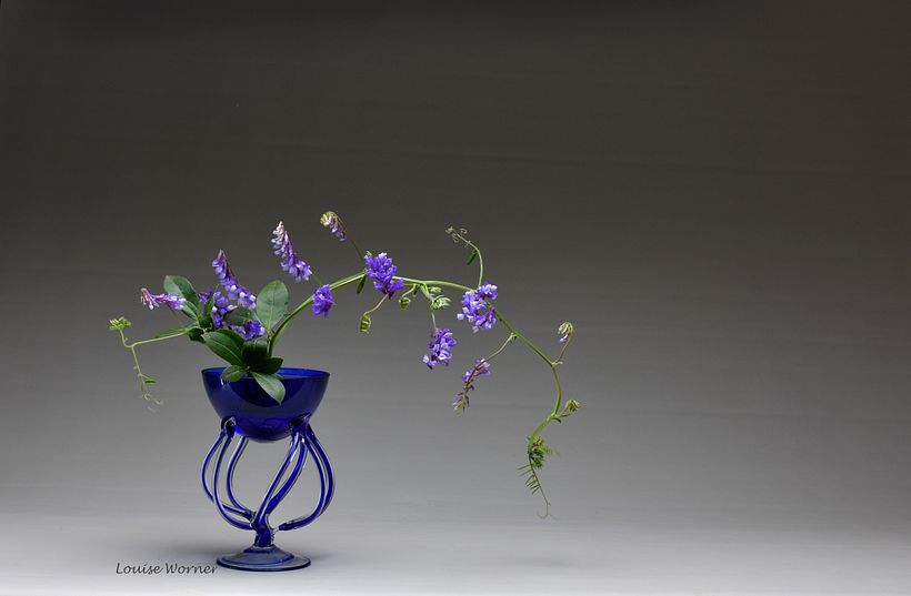 Ikebana using weeds