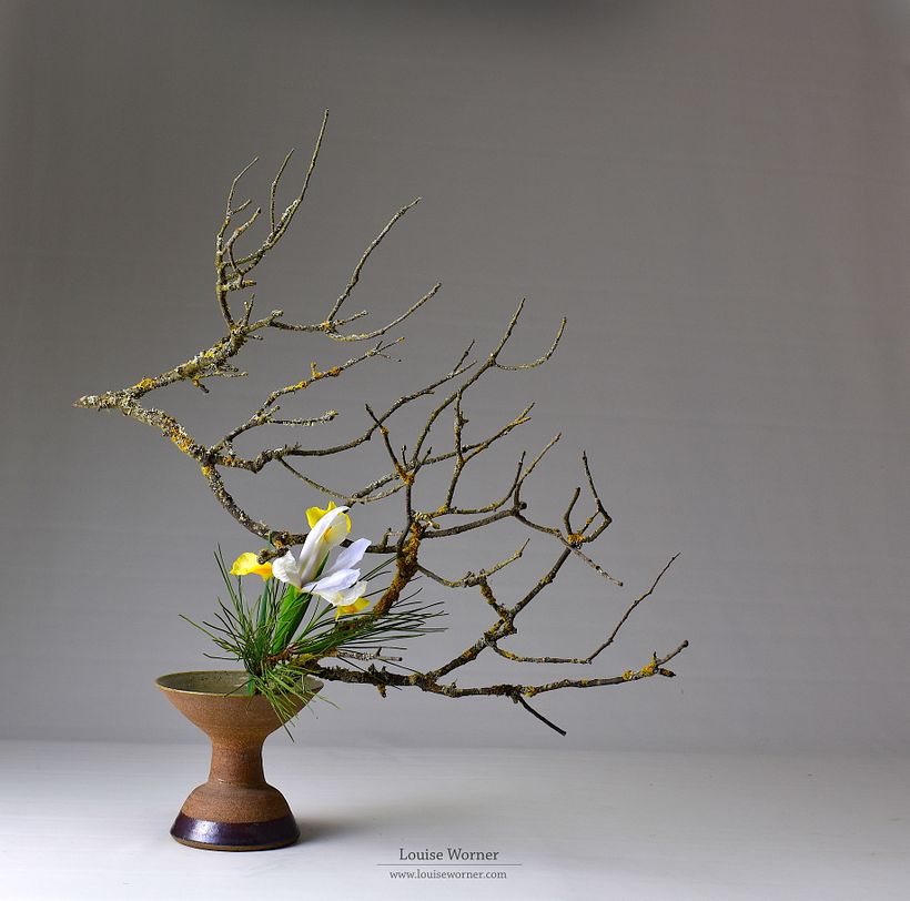 Foraged branches and pine with a single iris.