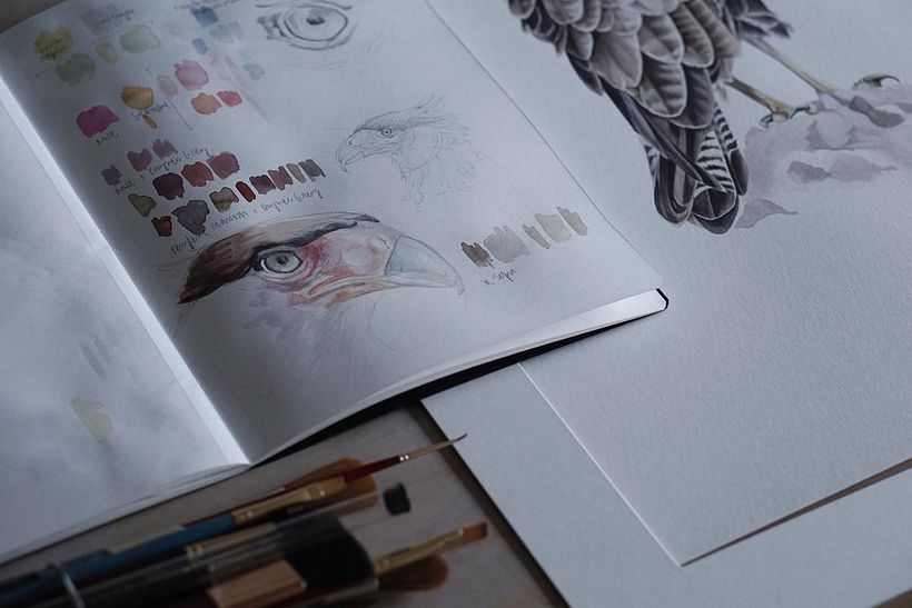 Carancho / Crested caracara 2