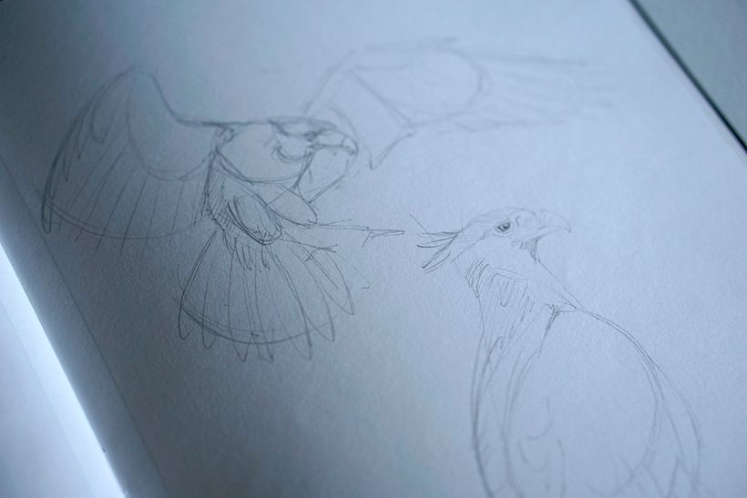 Carancho / Crested caracara 1