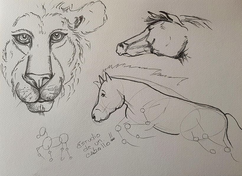 Mi proyecto del curso: Recopilación de lo aprendido con Sorie Kim 6