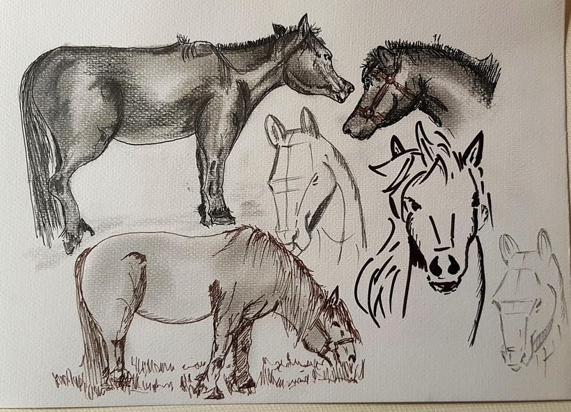 Mi proyecto del curso: Recopilación de lo aprendido con Sorie Kim 7