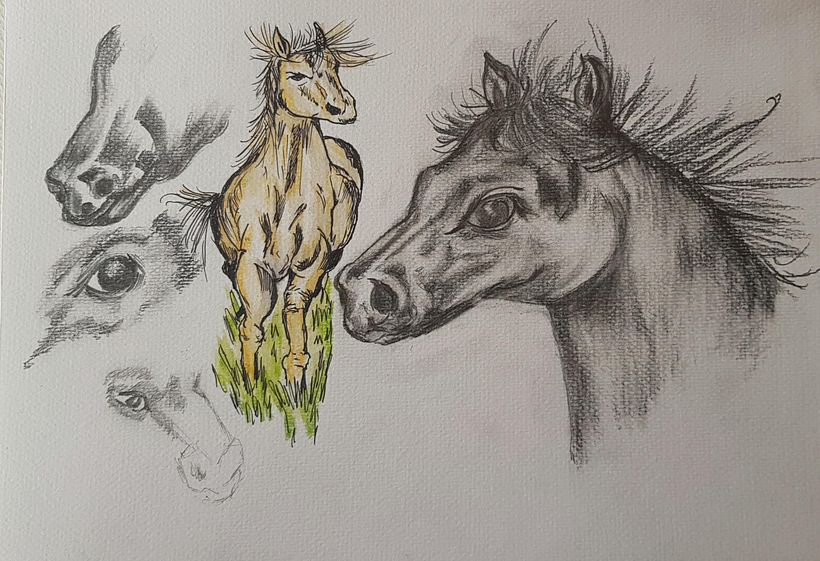 Mi proyecto del curso: Recopilación de lo aprendido con Sorie Kim 9