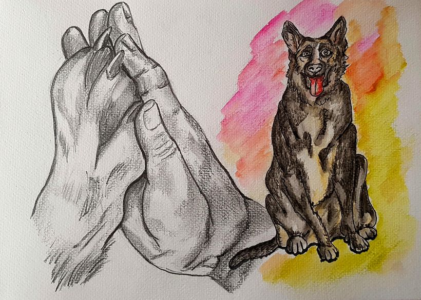 Mi proyecto del curso: Recopilación de lo aprendido con Sorie Kim 11