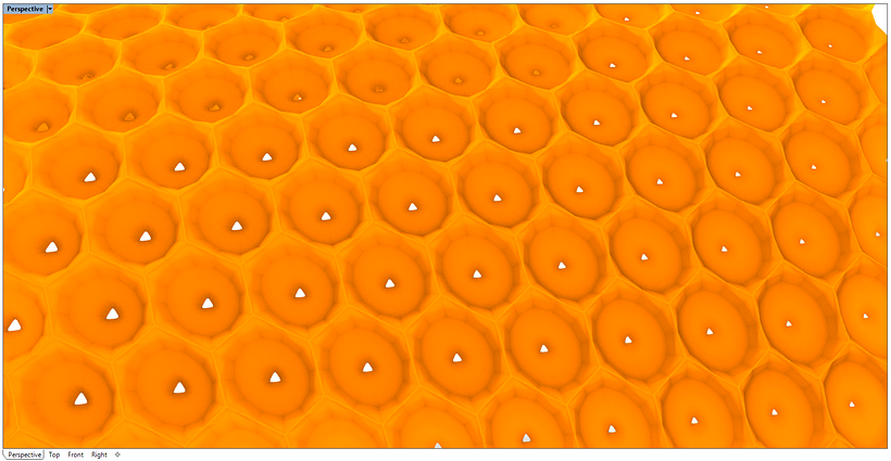 Particolare_Mesh