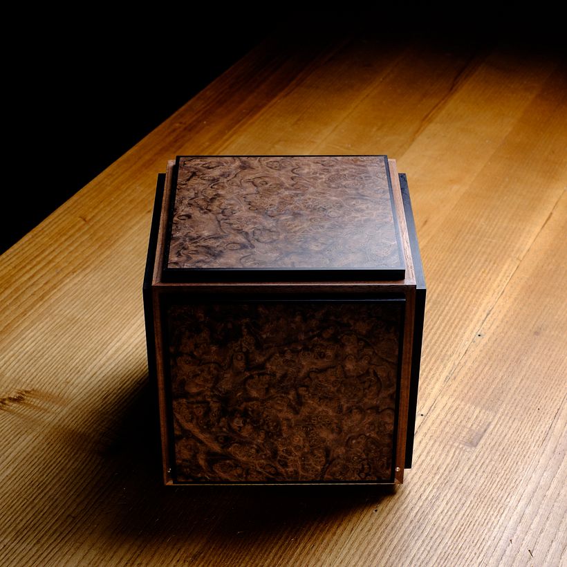 Burl Cube 4