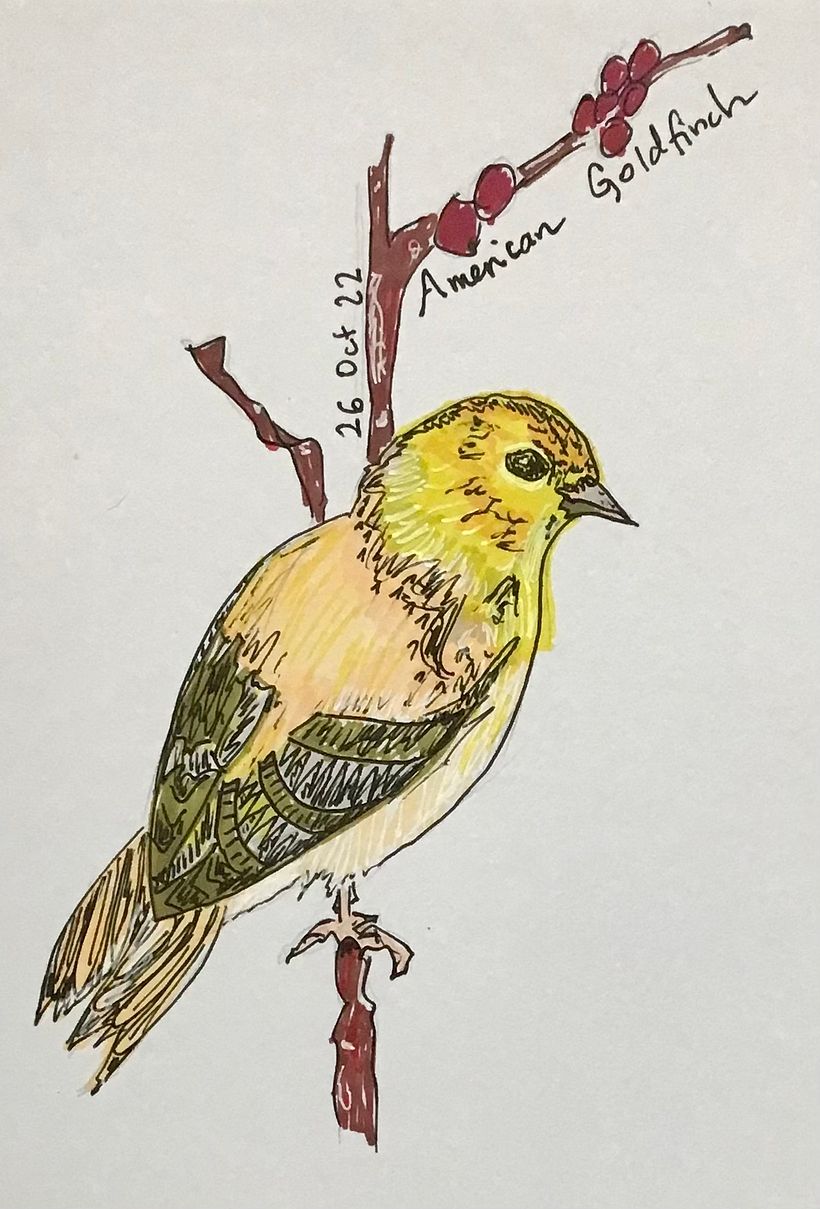 Ongoing coursework art 3