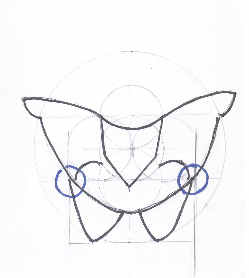 UIII - CAJA PELVICA - 1