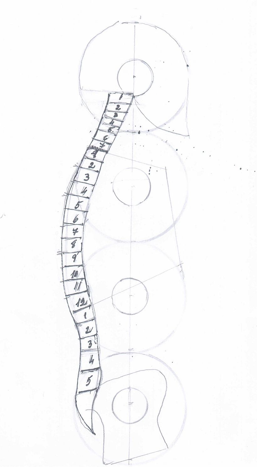 UIII COLUMNA VERTEBRAL LATERAL - 1