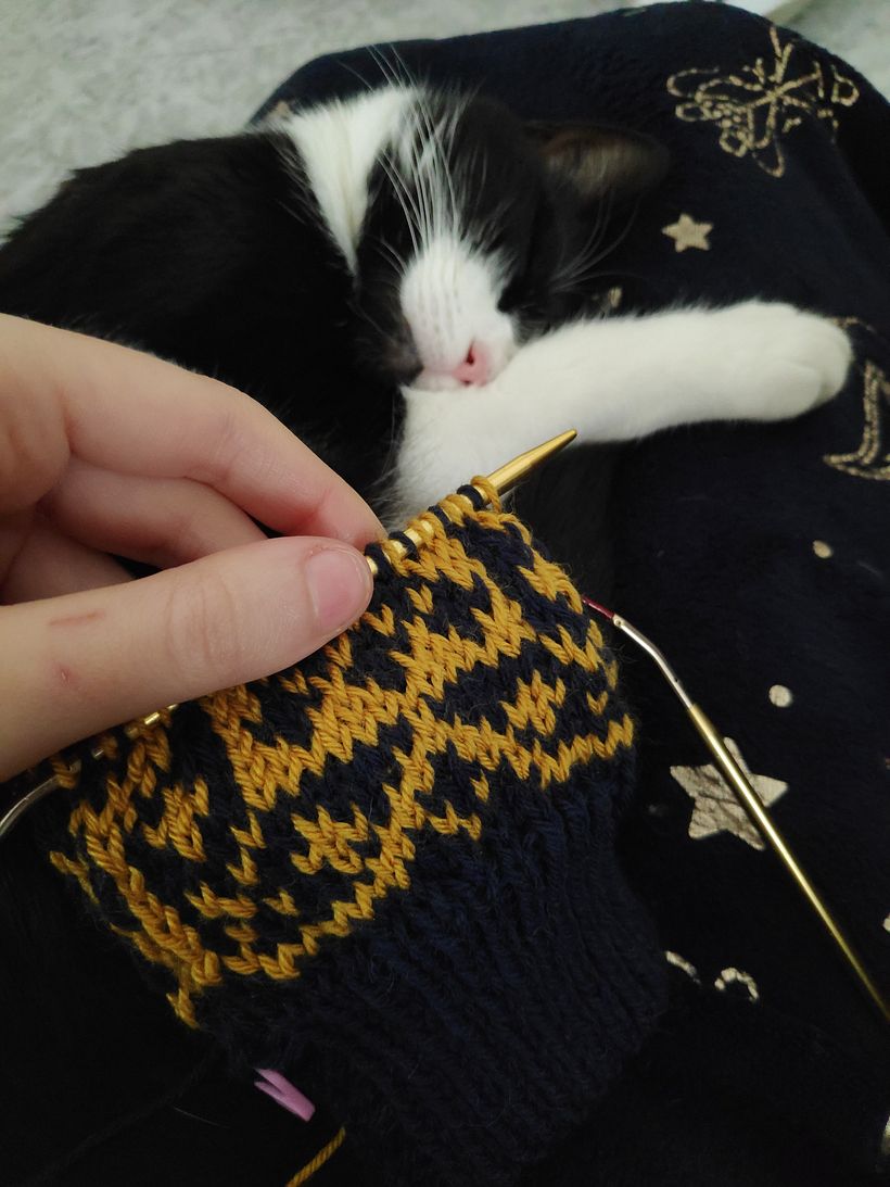 Bienve was the best company during sleeve knitting