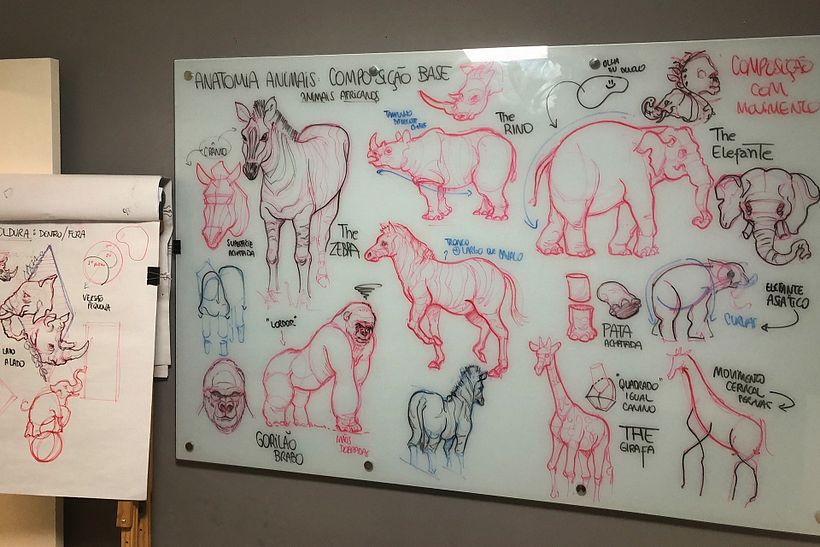 Lousa - Anatomia de Animais (Mamiferos grande porte)