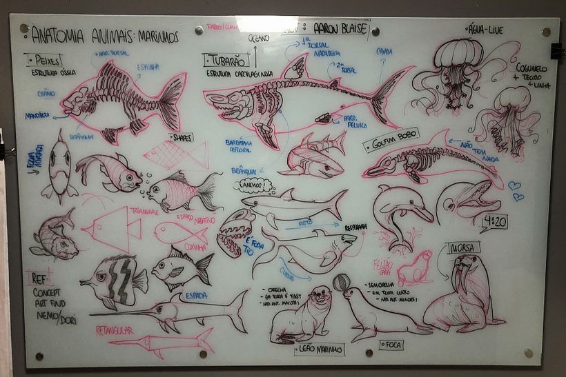 Lousa - Anatomia de Animais (Marinhos)