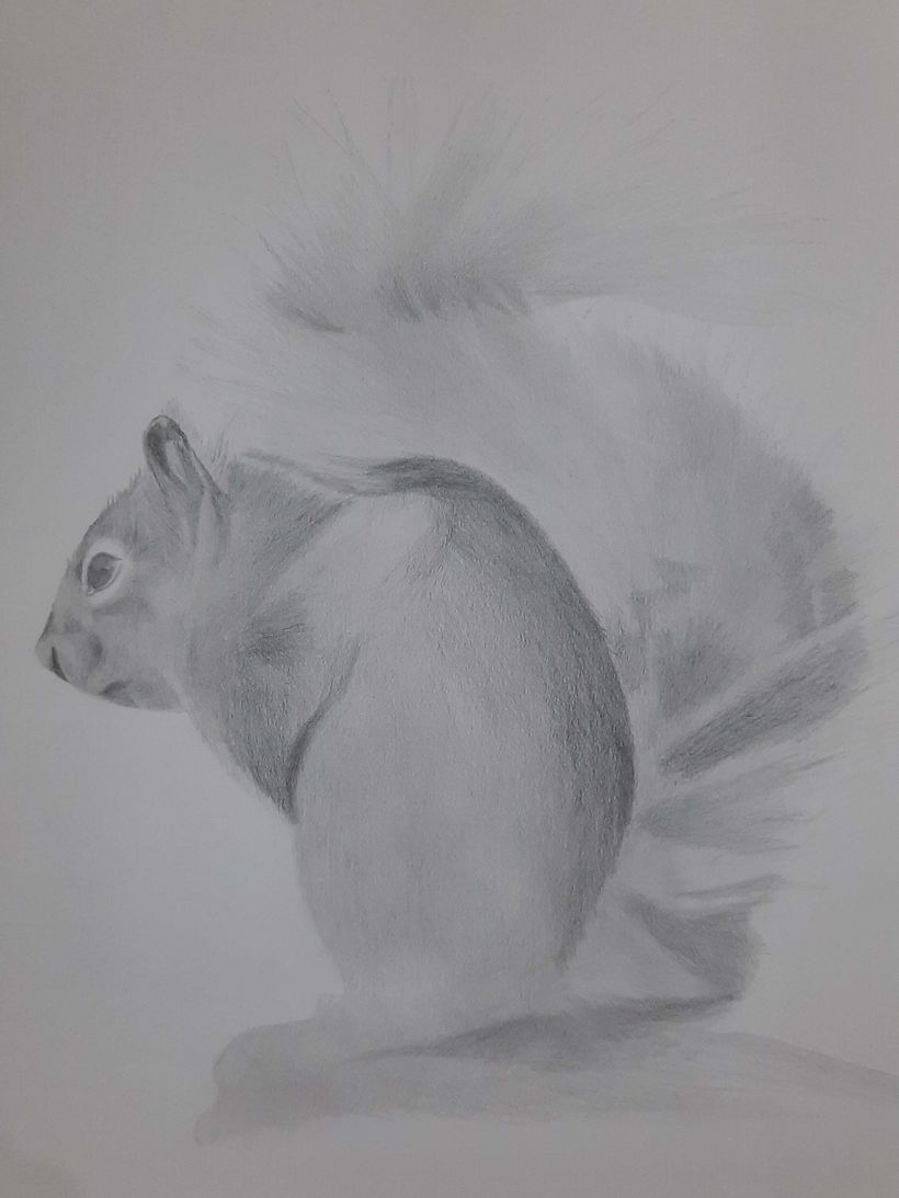 Mi proyecto del curso: Dibujo artístico para principiantes 3