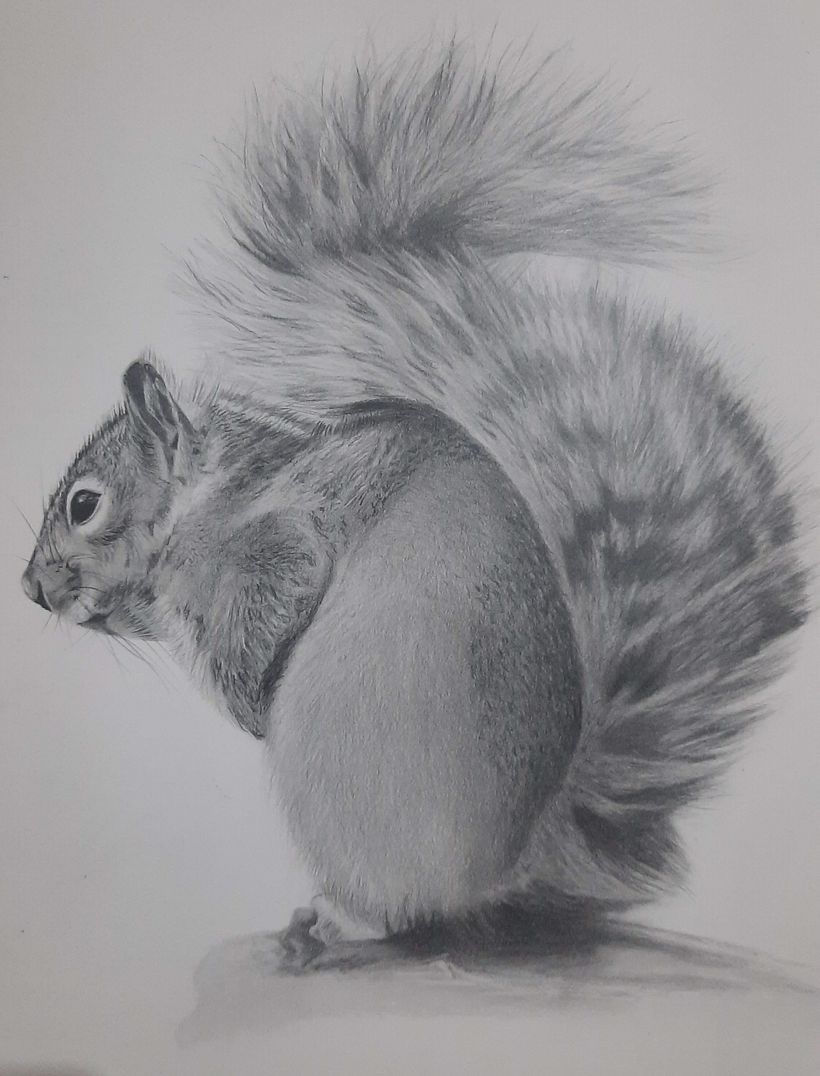 Mi proyecto del curso: Dibujo artístico para principiantes 5