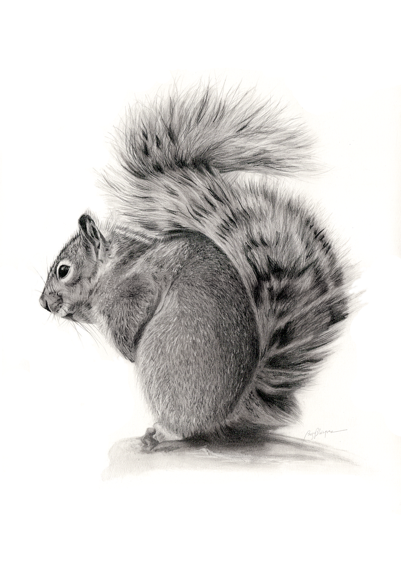 Lápiz de grafito sobre papel Caballo, 42x30 cm