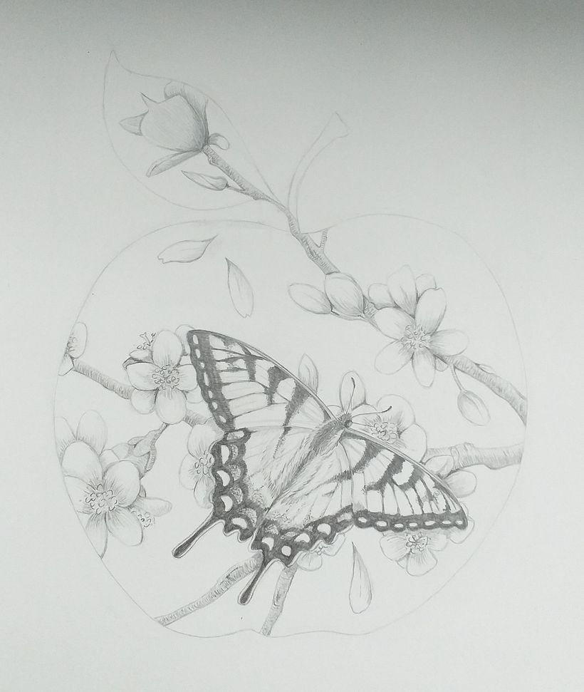 Drawing the butterfly