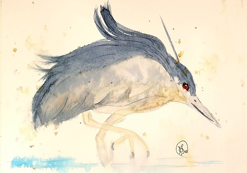 Meu projeto do curso: Aquarela naturalista com expressão e personalidade 2
