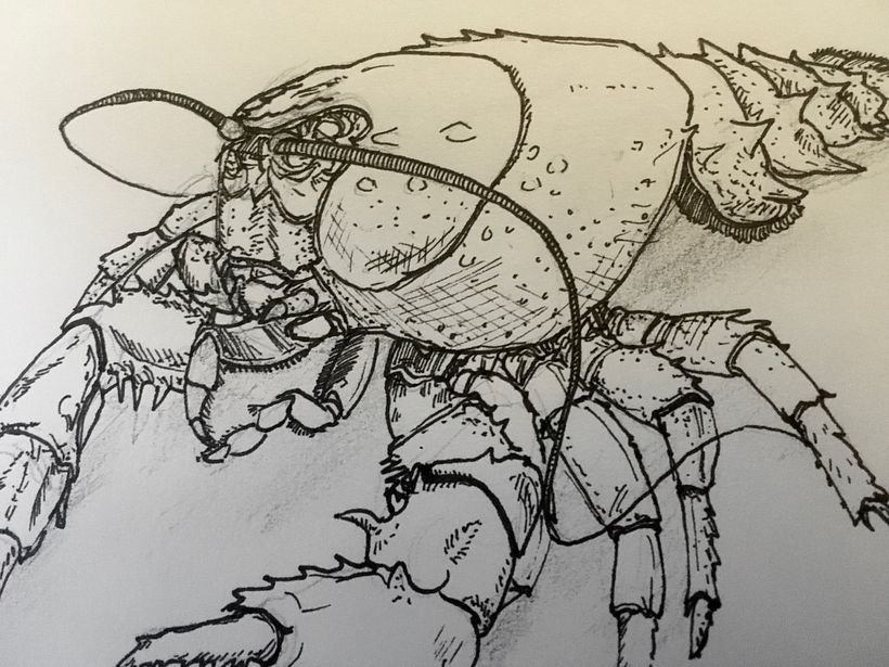 squat lobster at The Wagner Free Institute
