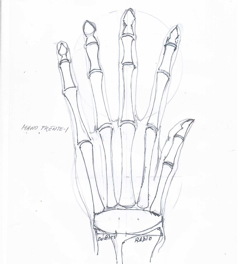 UIV - MANO FRENTE - 1