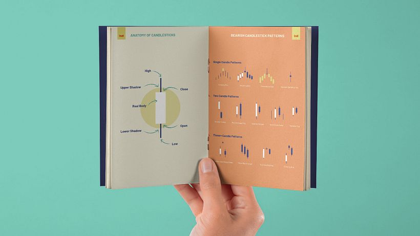 Informative booklet for Stockcroc investors