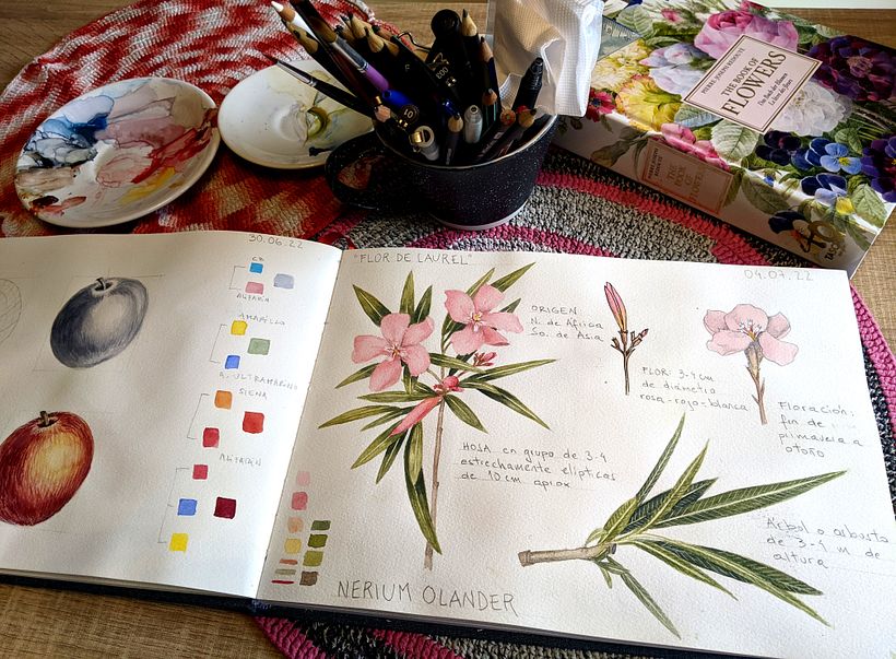 Cuaderno botánico  6
