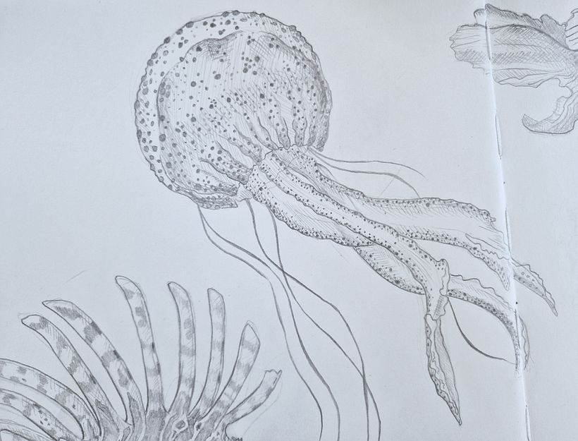My project for course: Daily Sketching for Creative Inspiration 8