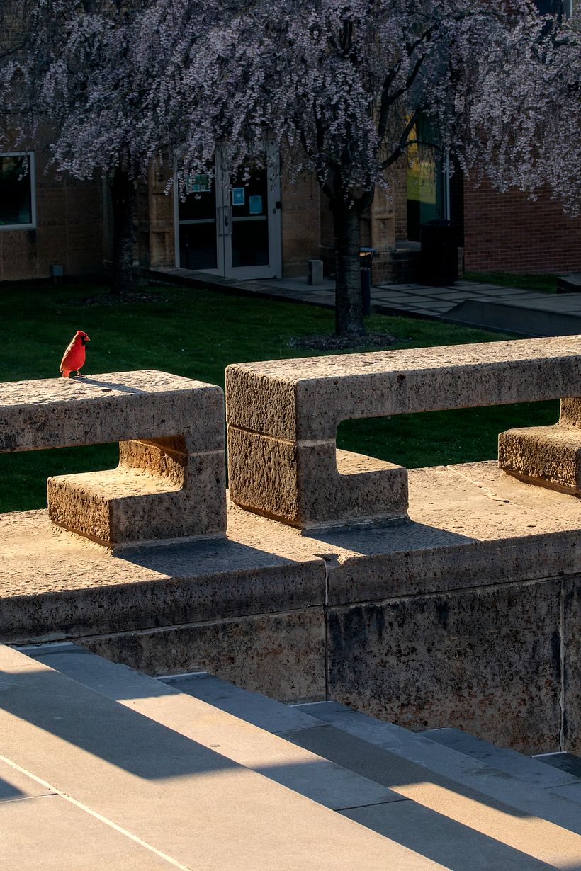 Cranbrook Art Museum for T Magazine 2